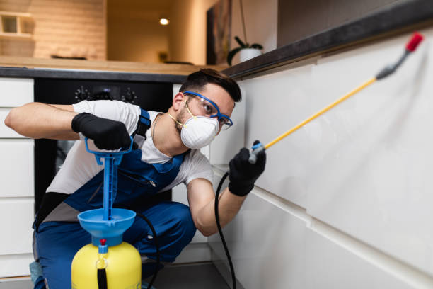 Best Emergency Pest Control  in Sacramento, CA