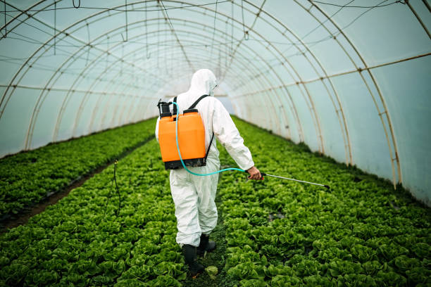 Best Mosquito Control Services  in Sacramento, CA