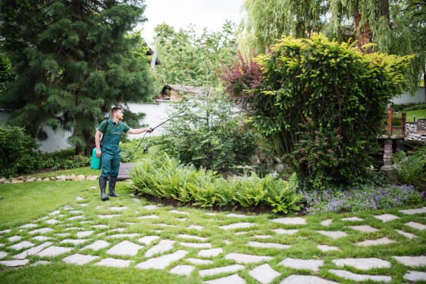 Best Pest Removal Services  in Sacramento, CA