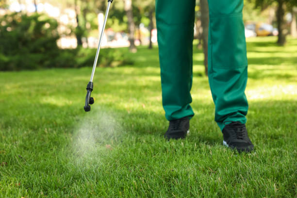 Best Affordable Pest Control Services  in Sacramento, CA
