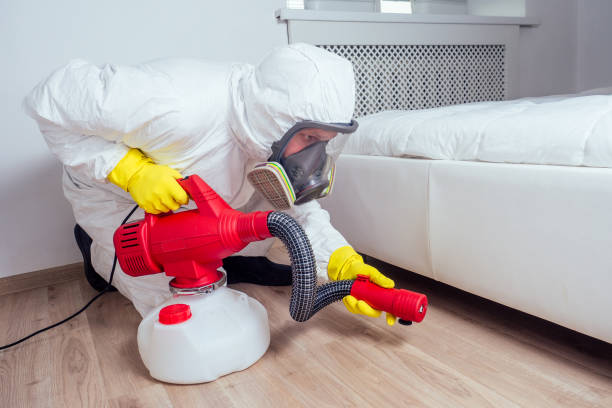 Best Ant Control Services  in Sacramento, CA